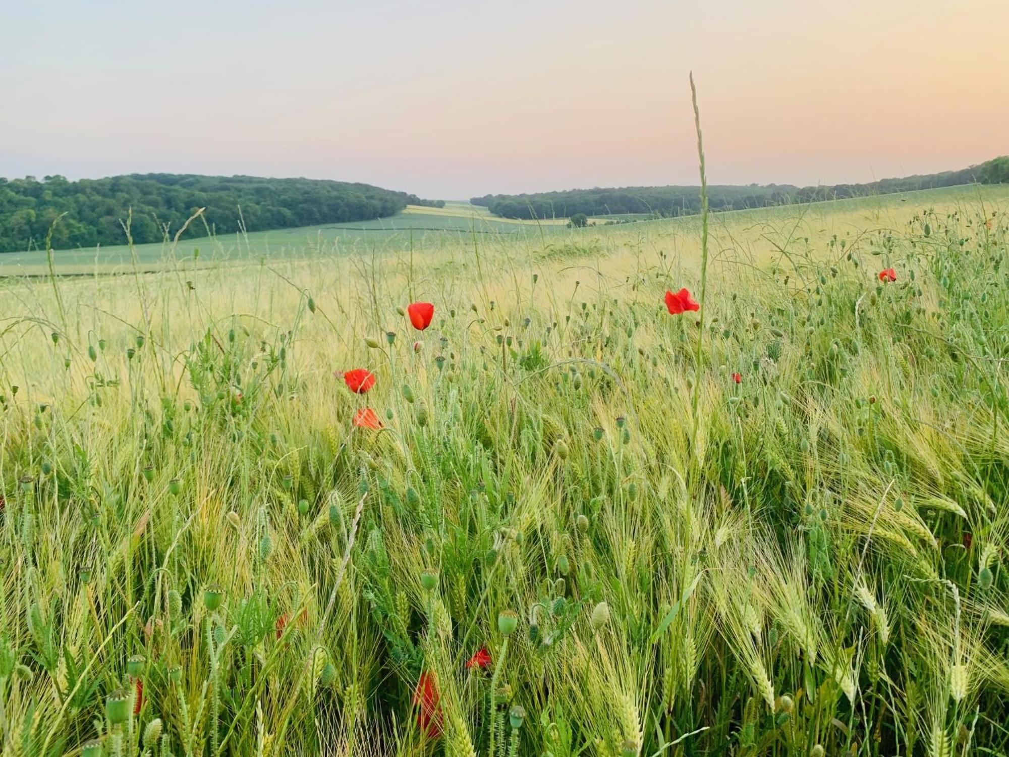 Chambre A La Noye Estrees-sur-Noye Bagian luar foto
